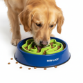 Premium Slow Feeder Dog Bowl